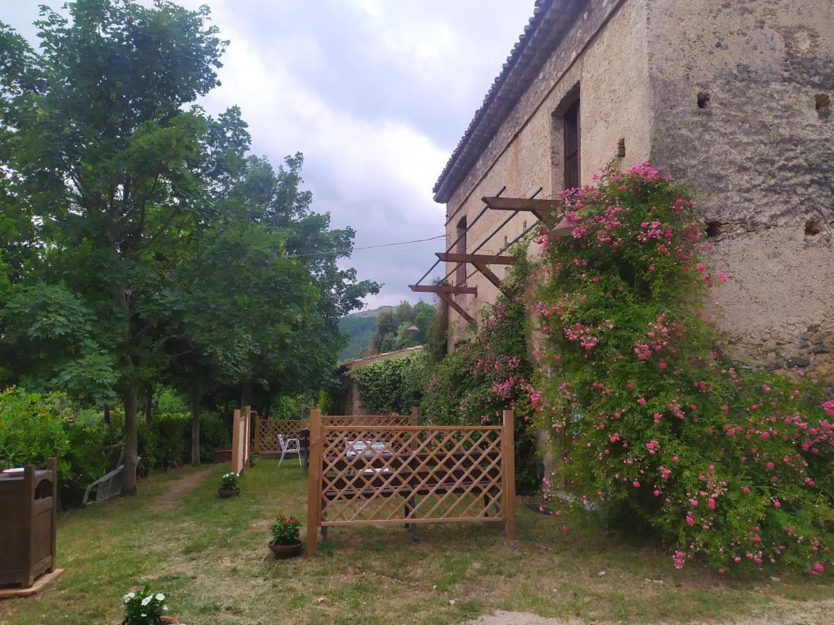 Agriturismo Colloreto 莫拉诺卡拉布罗 外观 照片