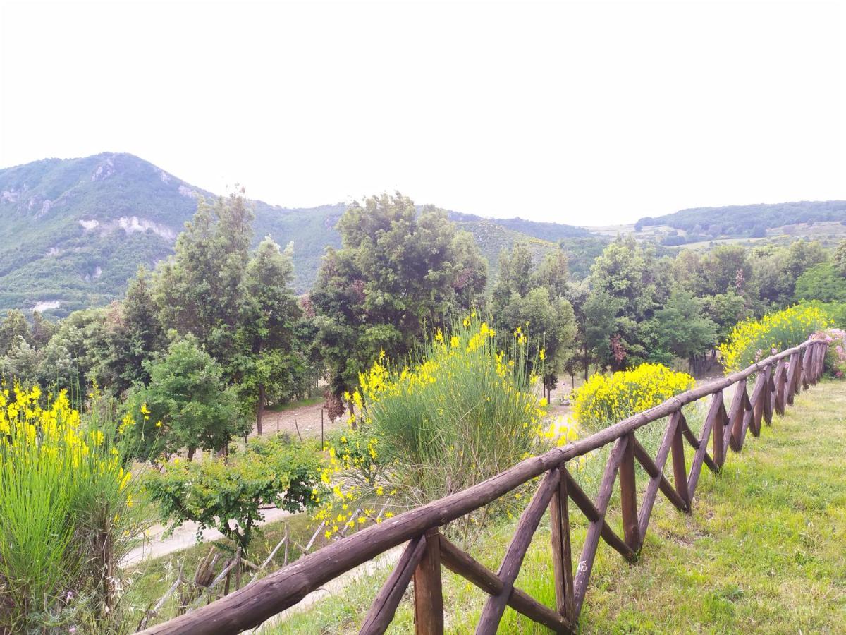 Agriturismo Colloreto 莫拉诺卡拉布罗 外观 照片
