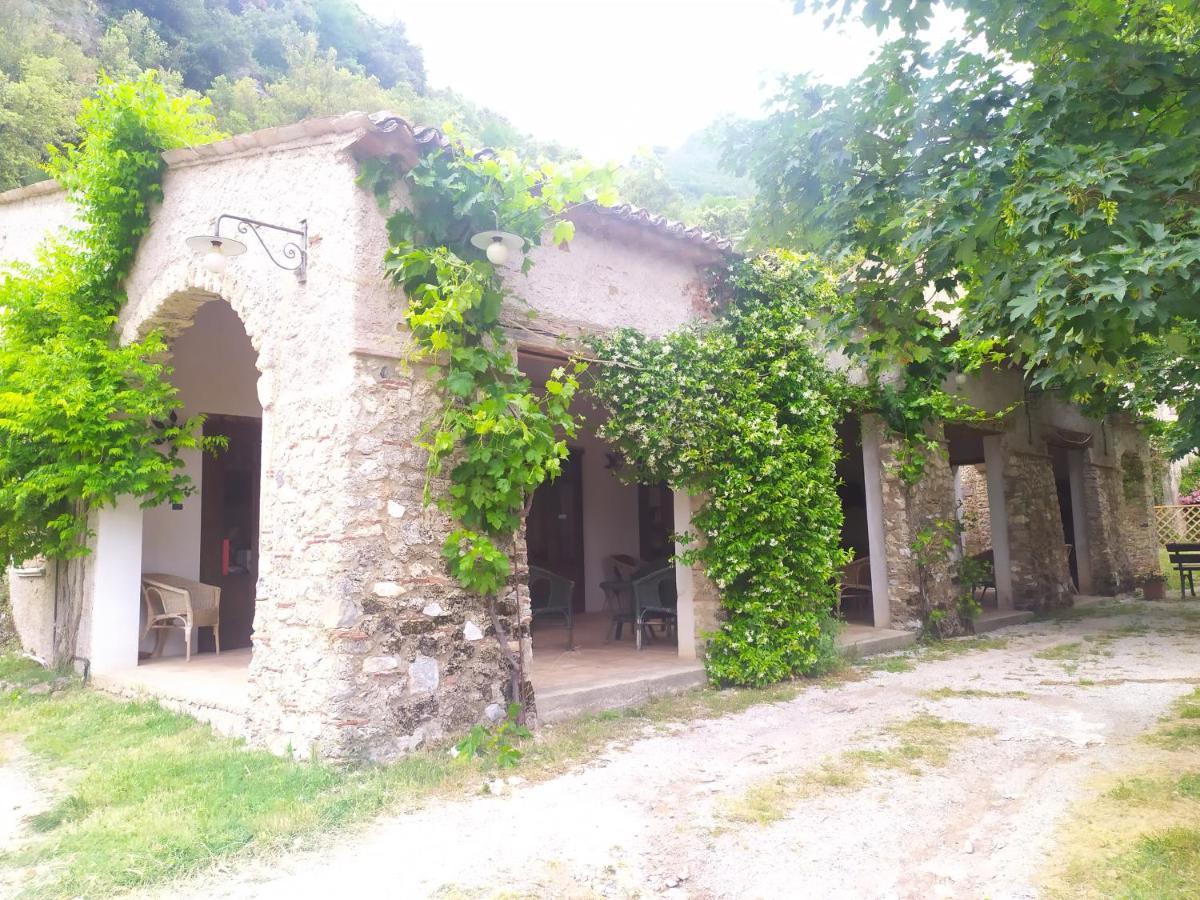 Agriturismo Colloreto 莫拉诺卡拉布罗 外观 照片