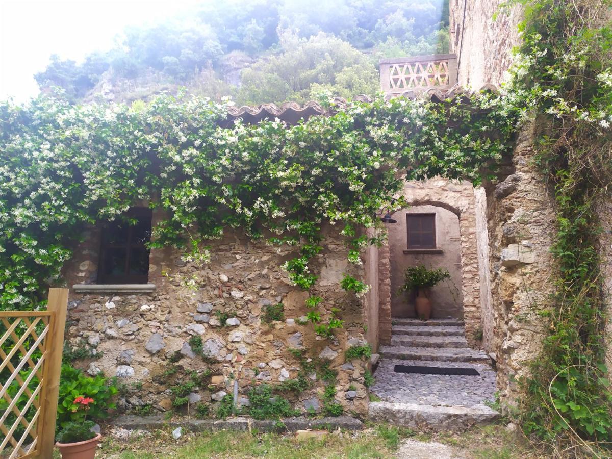 Agriturismo Colloreto 莫拉诺卡拉布罗 外观 照片