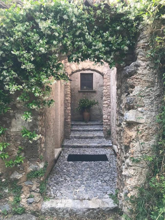 Agriturismo Colloreto 莫拉诺卡拉布罗 外观 照片