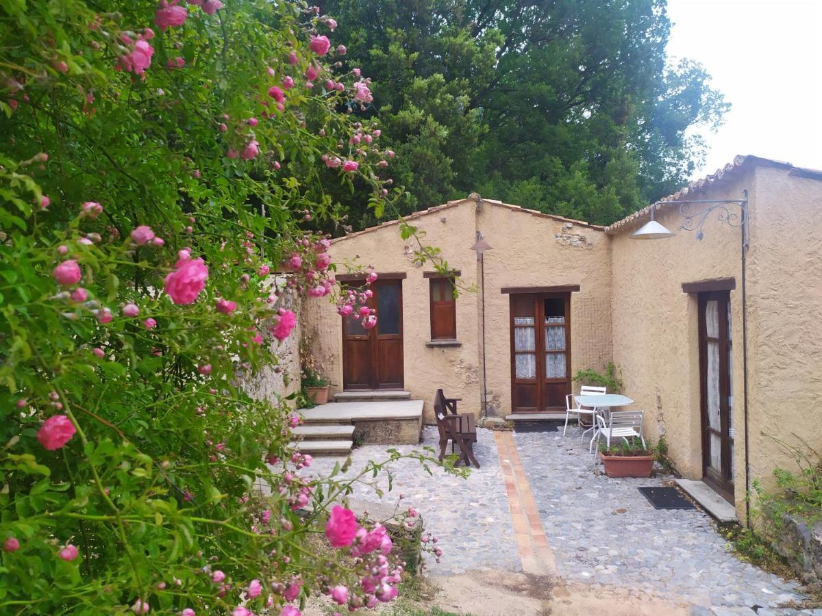 Agriturismo Colloreto 莫拉诺卡拉布罗 外观 照片