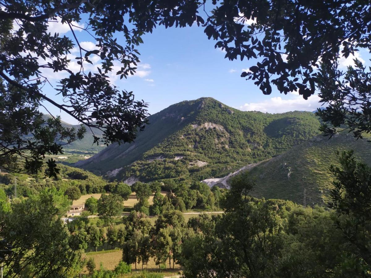 Agriturismo Colloreto 莫拉诺卡拉布罗 外观 照片